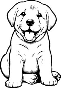 Anatolian Shepherd Dog