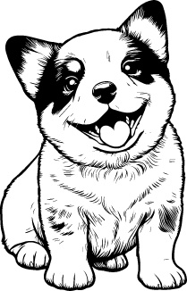 Australian Cattle Dog
