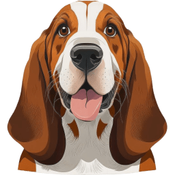 Basset Hound