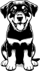 Beauceron
