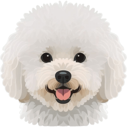 Bichon Frise