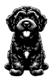 Black Russian Terrier