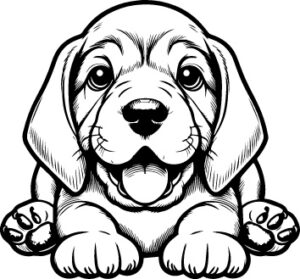 Bloodhound