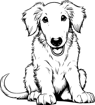 Borzoi