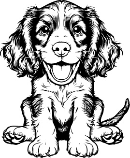 Kooikerhondje