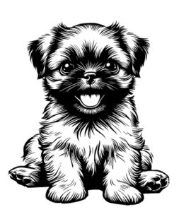 Brussels Griffon