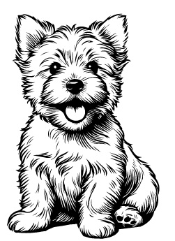 Cairn Terrier