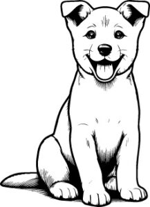 Canaan Dog