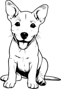 Carolina Dog