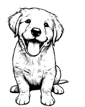 Chesapeake Bay Retriever