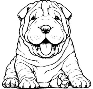 Chinese Shar Pei