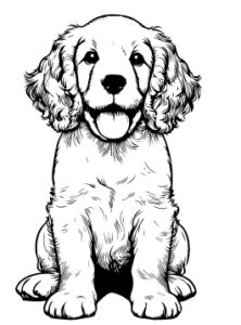 Clumber Spaniel