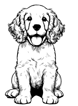 Clumber Spaniel