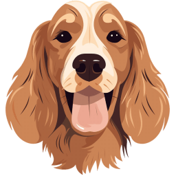 Cocker Spaniel