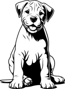 Dogo Argentino