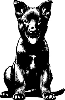 Dutch Shepherd