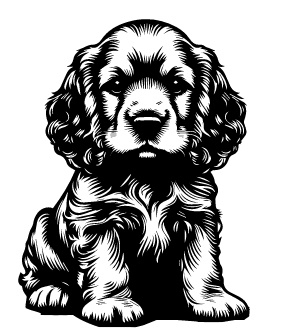 English Cocker Spaniel