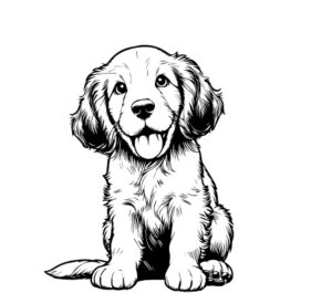 English Setter