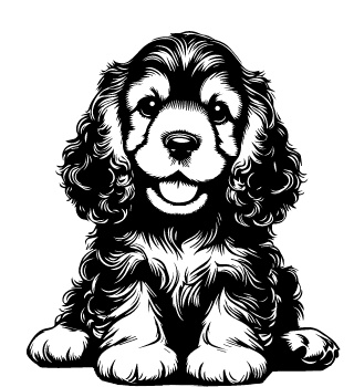 English Springer Spaniel