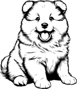Finnish Lapphund