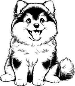 Finnish Spitz