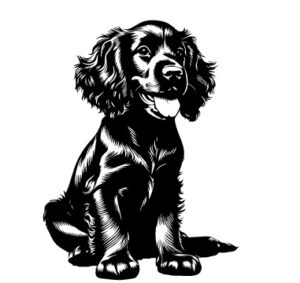 Gordon Setter
