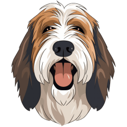 Grand Basset Griffon Vendeen