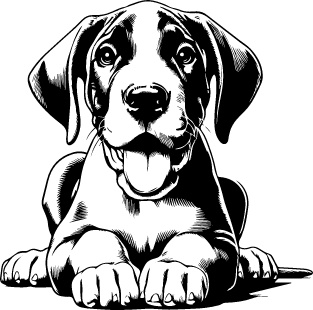 Great Dane