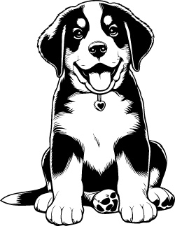 Greater Swiss Mountain Dog