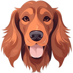 Irish Red and White Setter