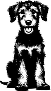 Irish Wolfhound