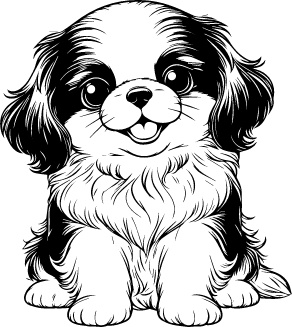 Japanese Chin