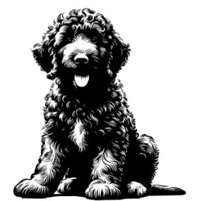 Komondor