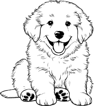 Kuvasz