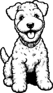 Lakeland Terrier