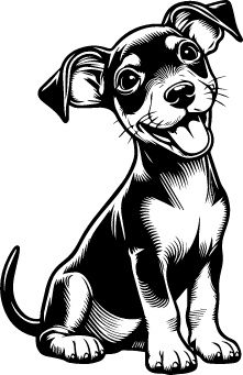 Manchester Terrier (Toy)