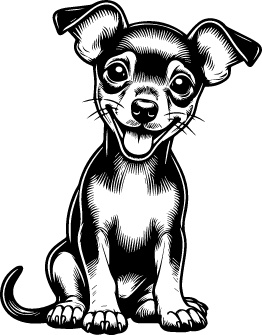 Miniature Pinscher