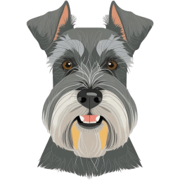 Miniature Schnauzer