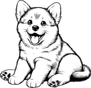 Norwegian Buhund
