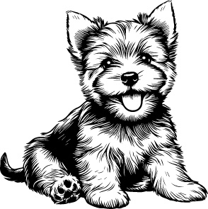 Norwich Terrier