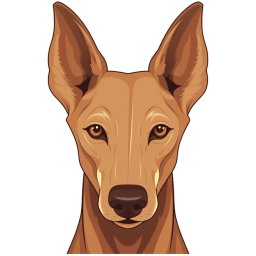 Pharaoh Hound