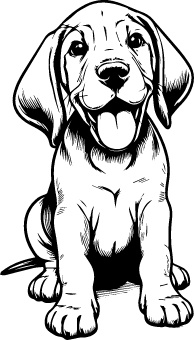 Plott Hound
