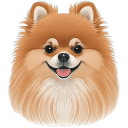 Pomeranian