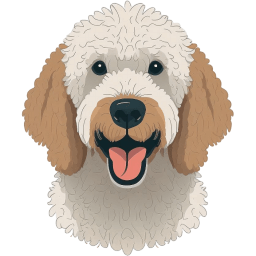 Poodle (Miniature)