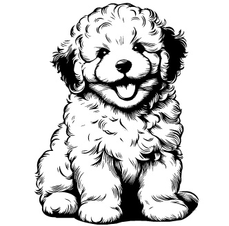Puli