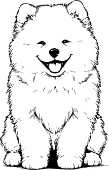 Samoyed