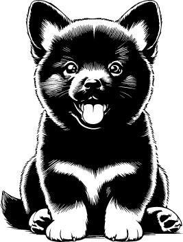 Schipperke