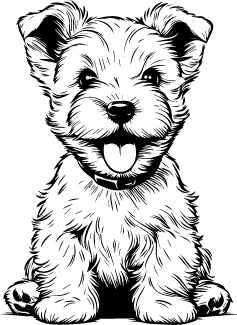 Scottish Terrier