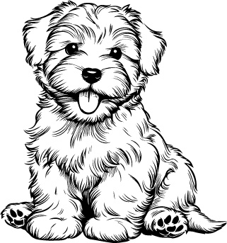 Sealyham Terrier