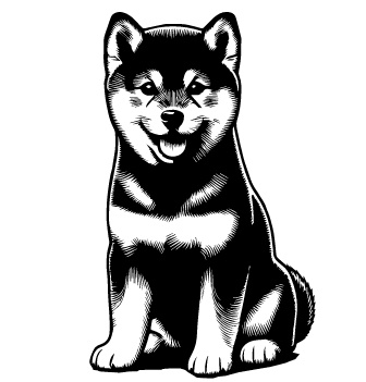 Shiba Inu